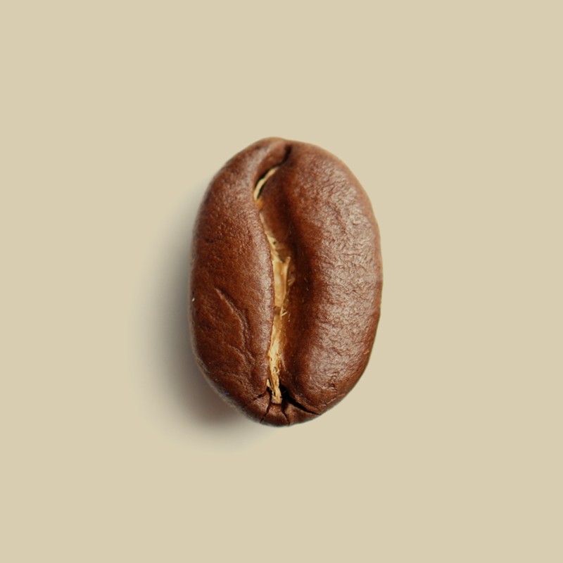 Café en grain Planteur